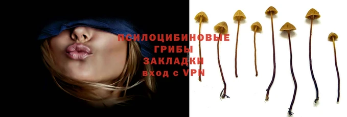МДМА Баксан