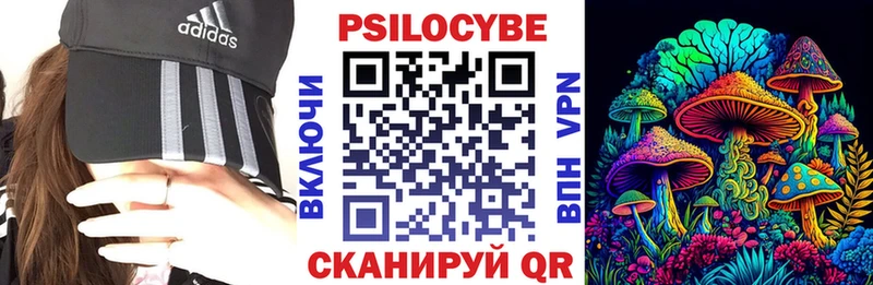 Псилоцибиновые грибы Cubensis  Городец 
