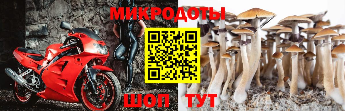 Городец  Псилоцибиновые грибы Magic Shrooms  Вход с VPN 