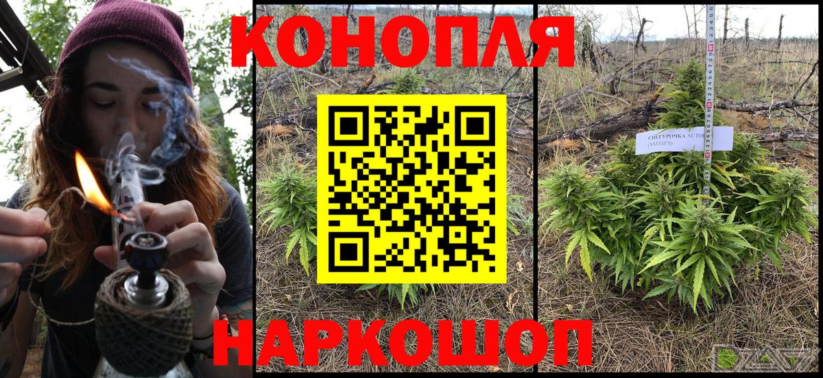 Бошки марихуана тримм Городец